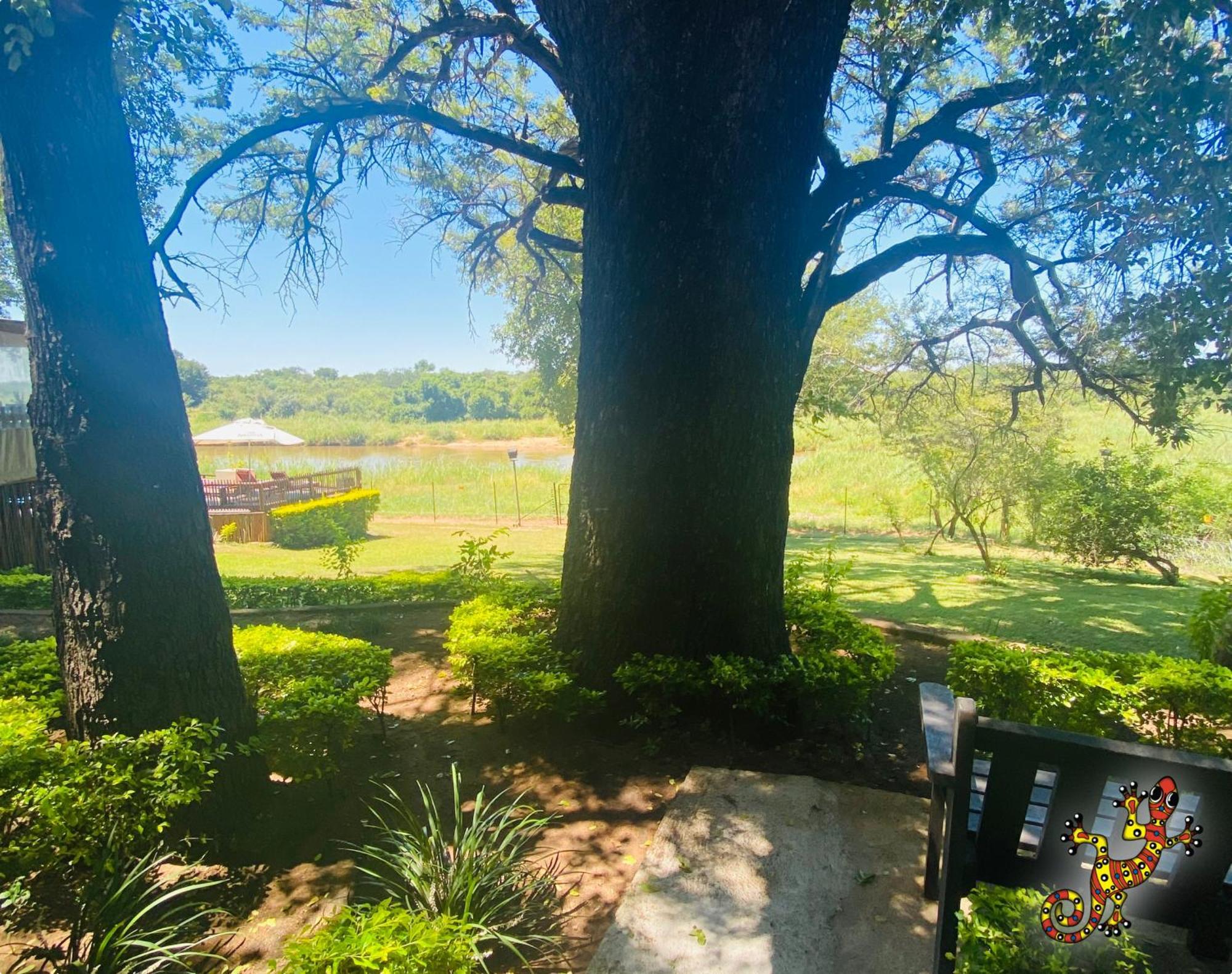 Sabie River Bush Lodge Hazyview Exterior foto